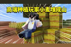 我的世界mod：种植玩家的专属秘籍？只需一天就能收获上千捆小麦