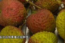 网传荔枝泡“水”，看完视频不敢吃了！这里面到底有什么门道？视频封面