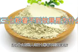 吃三七粉没用？吃三七粉看不到效果是为什么？视频封面