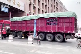 记者探访郑州万邦批发市场，防疫流程严格，确保疫情安全！视频封面