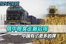 普京下令，俄中粮食走廊启用，在全球危机面前，中国有了更多的牌视频封面