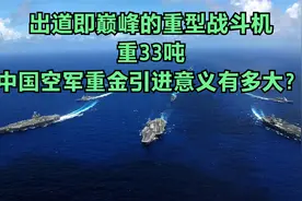 出道即巅峰的重型战斗机，重33吨，中国空军重金引进意义有多大？视频封面