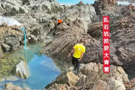 童年逃学来抓鱼的20米长坑 依然海货多多 抓到有生以来最大的青蟹视频封面