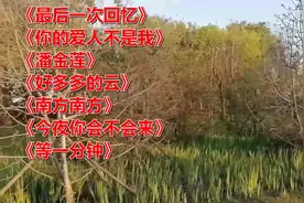 《你的爱人不是我》《好多多的云》《南方南方》《等一分钟》视频封面