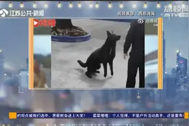 可爱！家养宠物狗走失被送派出所，竟向民警展示“绝活”视频封面