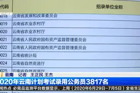 2020年云南计划考试录用公务员3817名视频封面