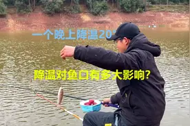 突然降温20°，这种情况对鱼口有多大影响呢，让我们来测试一下视频封面