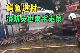 加油站出现3米长巨兽，消防员都束手无策！视频封面