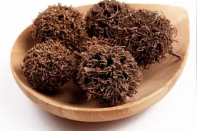 中药材，路路通有什么功效？