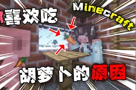 【MC】我的世界猪喜欢吃胡萝卜的原因找到了！【又开团了？】
