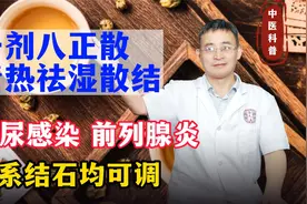 一剂八正散，清热祛湿散结，泌尿感染、前列腺炎、尿系结石均可调视频封面