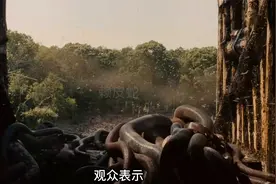 男人按照上帝的启示，建了一艘诺亚方舟，拯救了全世界的动物视频封面