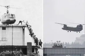 CCTV6今日播出《一条狗的回家路》 网友们乐了：是我想多了吗？视频封面