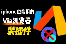 这TM才叫手机浏览器，Via浏览器隐藏绝技，你知道几个？