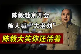 陈毅上京开会，不想被人喊了一声“大老刘”，此人是谁？视频封面