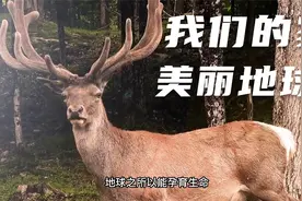 已知唯一孕育生命的星球视频封面
