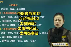 六经辨证02太阳病症：太阳中风证、太阴伤寒证的临床表现、方剂等视频封面