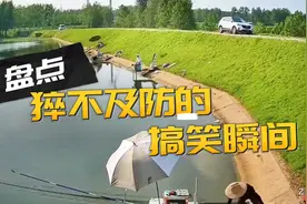 你听过螃蟹的叫声吗？视频封面
