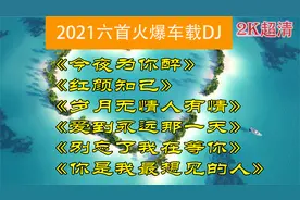 2021六首火爆车载DJ,节奏欢快动感,歌声甜美醉人,循环播放一整天!