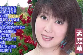 金曲回放：孟庭苇经典歌曲12首视频封面
