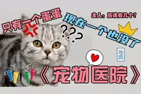 小猫咪只有一个蛋，主人不知道，却被医生割掉