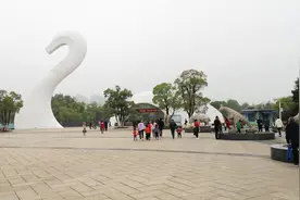 今天发现了一个神器【南昌一卡通】年卡来动物园试试视频封面