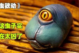 我敢保证这条虫子你绝对没有见过，简直是太神了视频封面