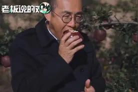 潘石屹“推销”天水苹果：无论走到哪里，我都想吃老家的苹果视频封面