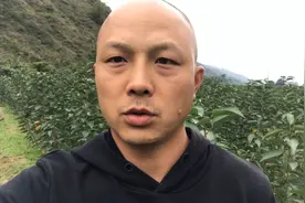 品质优价格高的露天大樱桃。这4个大樱桃品种，消费者非常认可视频封面