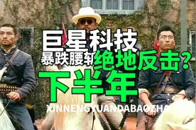 营收大增，利润大减，全球行业巨头巨星科技，暴跌后的确定性机会视频封面