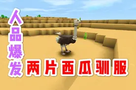 迷你世界单人生存21：人品爆发呀，两片西瓜也能驯服一只鸵鸟