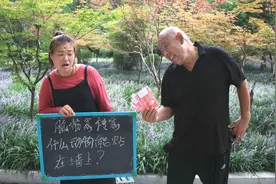 脑筋急转弯：什么动物能贴在墙上？农村大爷轻松答出，答案太逗了