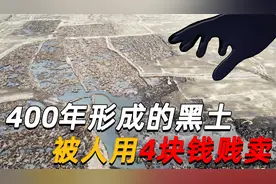是谁在砸中国人的饭碗？400年才形成的黑土，4元一斤在网上被盗卖视频封面