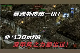 暗黑破坏神2，皮叔：出一切高级装备！ama：感谢皮叔的漆甲风之力