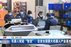 机器人赋能“智造”：走进全国最大机器人产业基地视频封面