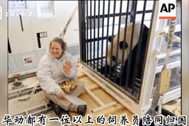 熊猫泰山回国记视频封面