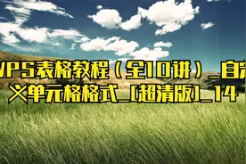 WPS表格教程（全10讲）_自定义单元格格式_[超清版]_14视频封面
