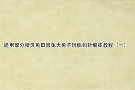 通用部分精灵兔田园兔大兔子玩偶钩针编织教程（一）【转载】视频封面