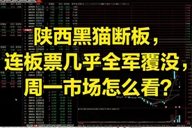 陕西黑猫断板，连板票几乎全军覆没，周一市场怎么看？视频封面