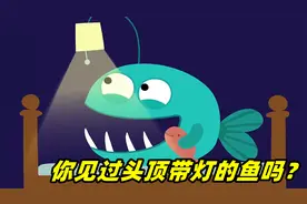 小鱼胆子太小不敢关灯睡觉，一闭眼就看到大怪兽，治愈动画视频封面