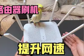 路由器用久了信号差经常掉线，不用着急换，教你如何给路由器刷机视频封面