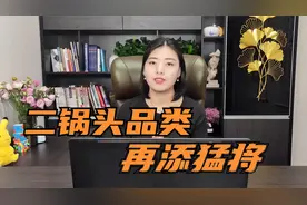 红星二锅头要上市？大豪科技被疑老鼠仓