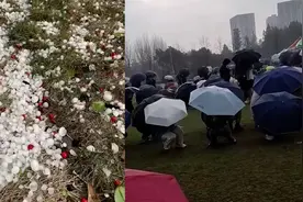 杭州多地突降冰雹，现场雹体砸地噼啪作响 市民撑伞躲避视频封面