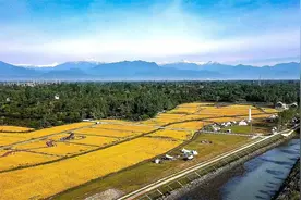 雪山下的美丽乡村——代表寄语视频封面