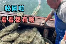 小渔船出海一天，看看都能捕捞到哪些海鲜，野生大鲈鱼竟然还会叫视频封面
