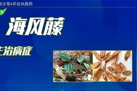 中药-海风藤的主治功效