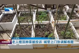 【人民来信】老人楼顶种菜被投诉 城管上门协调解难题视频封面