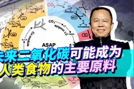 中国能把二氧化碳变成人类食物的主要原料，挽救人类，也挽救地球视频封面