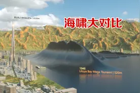 海啸能有多高？不知道的赶紧科普一下吧，看看以往海啸的高度对比