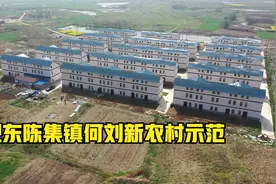 #合肥头条#肥东陈集镇何刘新农村建设示范点航拍视频封面